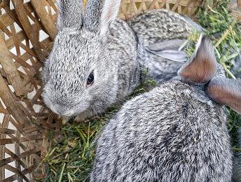 《战神5》评分11月3日解禁 比游戏发售提前6天